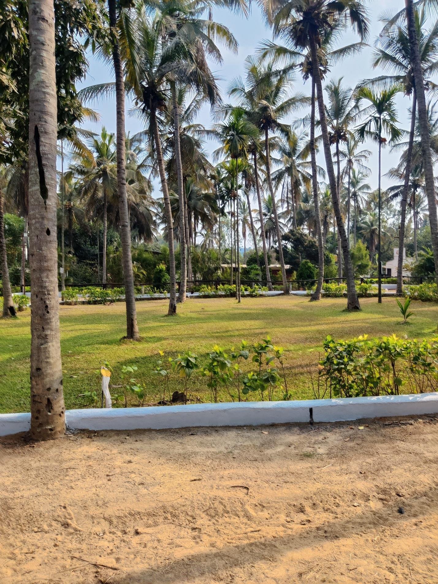 Training arena