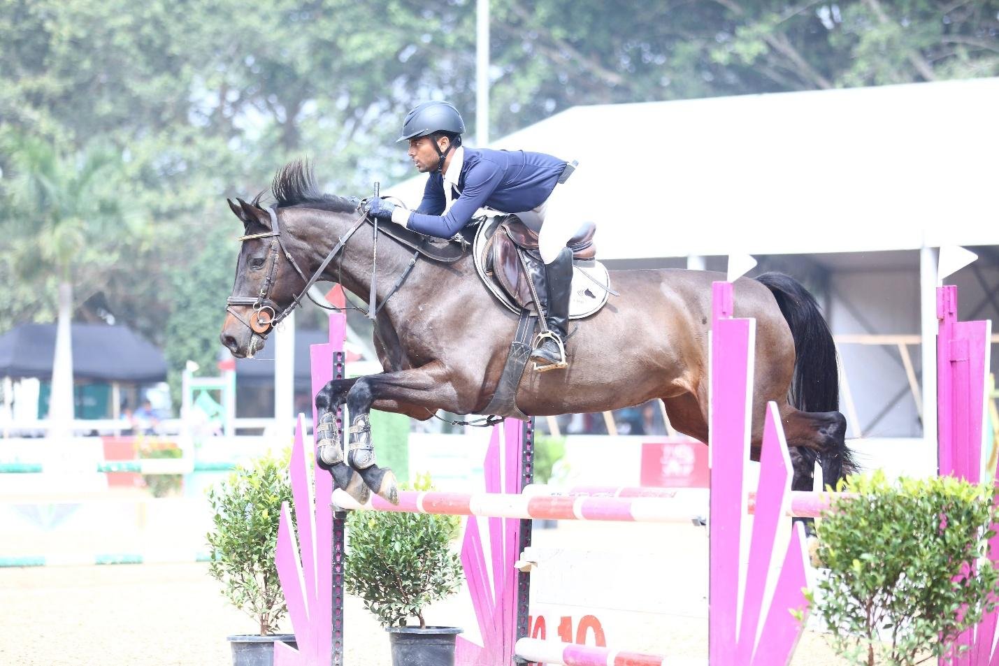 Stable management