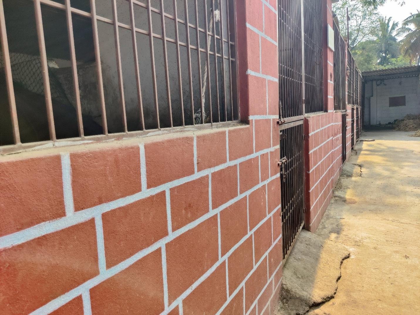 Premium Horse Boarding